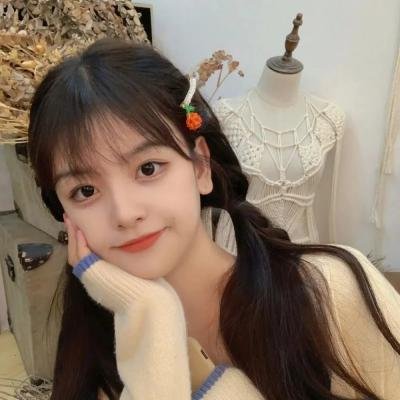 星蝶公主第三季